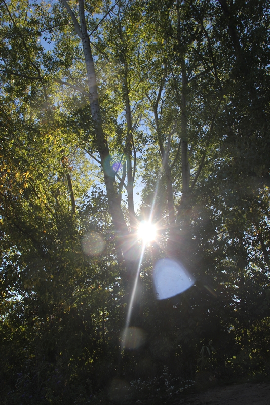 slideshow